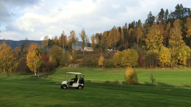 Dating dame golfere